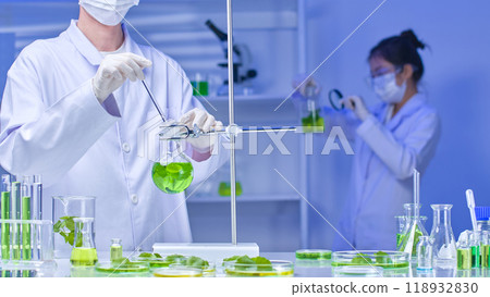 The lab photo shows a scientist adjusting a green liquid beaker, surrounded by other scientific equipment and pennywort, and another scientist using a microscope for observations. The lab photo shows a scientist adjusting a green liquid beaker, surrounded by other scientific equipment and pennywort, and another scientist using a microscope for observations. 118932830