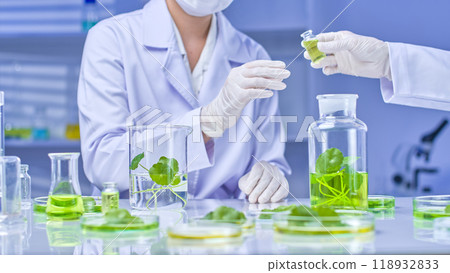 The template photo depicts two scientists in a bright lab, one holding a small glass bottle of green liquid and the other assisting with other scientific equipment and pennywort. 118932833
