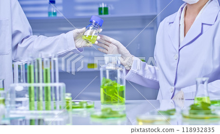 A little container of green liquid is exchanged between two scientists wearing lab coats and gloves in a laboratory. The background comprises lab equipment and more gotu kola ingredients. A little container of green liquid is exchanged between two scientists wearing lab coats and gloves in a laboratory. The background comprises lab equipment and more gotu kola ingredients. 118932835