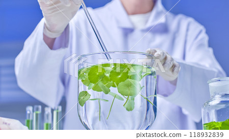Photo template with image of scientist holding a liquid container with gotu kola branches in one hand and a glass rod in the other hand preparing to stir, next to other chemical containers. 118932839