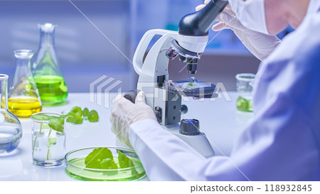 The image uses a rear-view angle to clearly show the scientist's workbench examining a sample of gotu kola under a microscope, surrounded by glass bottles containing colorful solutions. 118932845