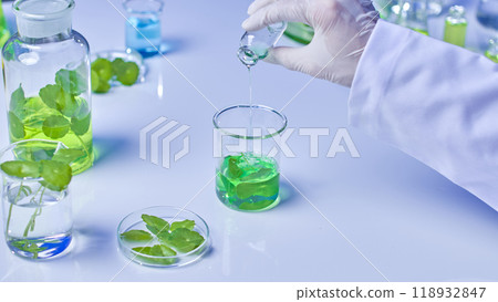 The scientist poured a small bottle of solution into a beaker containing green and pennywort leaves, followed by jars and glass bottles containing the pennywort soaked solution. The scientist poured a small bottle of solution into a beaker containing green and pennywort leaves, followed by jars and glass bottles containing the pennywort soaked solution. 118932847