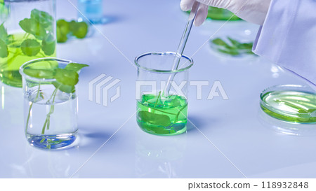Centella laboratory background quality photo features scientist stirring beaker with green solution and centella sample, next to glass containers used for centella experiment. Centella laboratory background quality photo features scientist stirring beaker with green solution and centella sample, next to glass containers used for centella experiment. 118932848