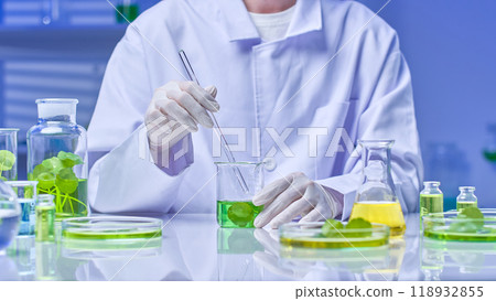 The scientist carefully stirs the green centella liquid with a glass rod in a beaker surrounded by various tools, chemicals and specimens for experiments. Sample image with modern laboratory setting. The scientist carefully stirs the green centella liquid with a glass rod in a beaker surrounded by various tools, chemicals and specimens for experiments. Sample image with modern laboratory setting. 118932855