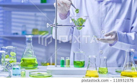 Photo sample with a scientist carefully uses tweezers to pick up a centella leaf from a funnel above a beaker. They are surrounded by various lab equipments and ingredients for the experiment Photo sample with a scientist carefully uses tweezers to pick up a centella leaf from a funnel above a beaker. They are surrounded by various lab equipments and ingredients for the experiment 118932876