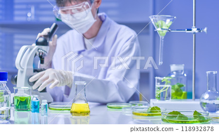 A high-quality photo shows a scientist wearing a safety glasses inspecting a pennywort sample under a microscope, surrounded by numerous experimental instruments and specimens on a laboratory table. 118932878