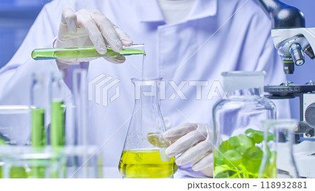 In a modern laboratory setting, a scientist carefully pours a green liquid from a test tube into a larger beaker, surrounded by various experimental tools, solutions, and centella specimens. 118932881