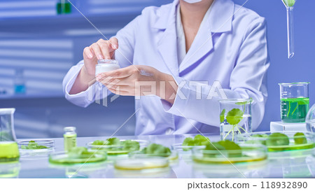 A modern lab settings shows a scientist scraping a smear of cream to perform an experiment, surrounded by glassware containing liquids and gotu kola samples. Gotu Kola experiment picture sample. 118932890