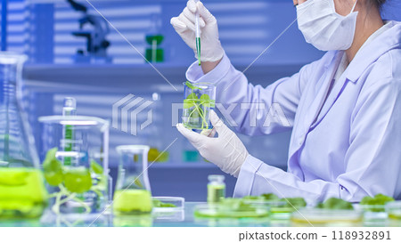 The scientist used a dropper to drop the green solution into the beaker containing centella solution. On the table were the specimens and tools for the centella experiment. High-quality photo template 118932891