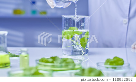 High-quality image of a scientist pouring water from a flask into a beaker containing solution and centella samples, placed on a table surrounded by glassware containing solution and centella samples. 118932892