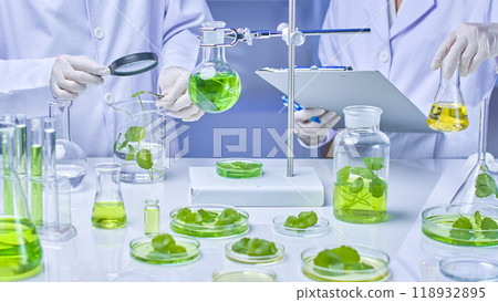 A high-quality image template of a modern science lab features two scientists observing and shaking gotu kola solution into a flask, with samples and equipment on display. 118932895