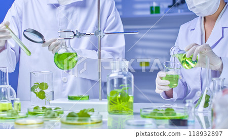 Modern science lab with two scientists observing and pouring gotu kola solution from flask into beaker. On the table are gotu kola samples and equipment for the experiment. High quality image template Modern science lab with two scientists observing and pouring gotu kola solution from flask into beaker. On the table are gotu kola samples and equipment for the experiment. High quality image template 118932897