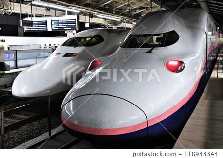 700 Series/E4 Series Shinkansen Tokyo Station② 118933343