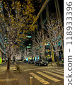 Champagne Gold Illumination in Marunouchi 118933396