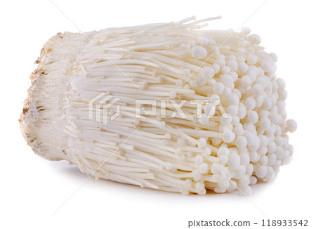 Fresh golden needle mushroom or enoki isolated on white background. Fresh golden needle mushroom or enoki isolated on white background. 118933542