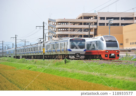 常盤線 內原赤塚 JR東日本 E653系列 K351編組（勝田） 新鮮日立 E531系列 118933577