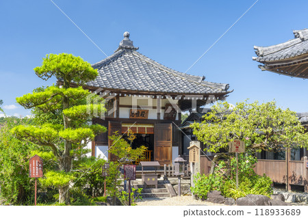 飛鳥寺椎電(奈良縣飛鳥村) 飛鳥寺椎電(奈良縣飛鳥村) 118933689