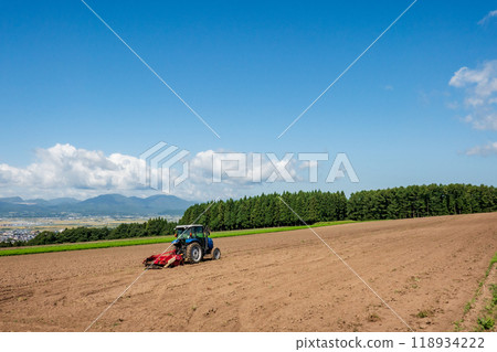 In the summer field 118934222