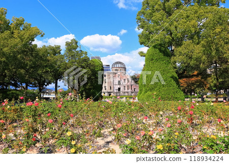 [Hiroshima Prefecture] The Atomic Bomb Dome and roses on a clear autumn day 118934224