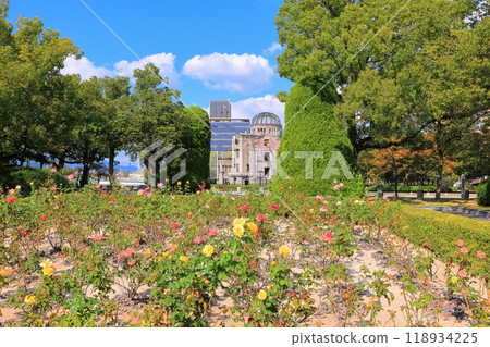 [廣島縣]原子彈爆炸圓頂屋和玫瑰花在晴朗的秋日 118934225
