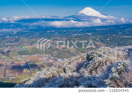 [靜岡縣] 從箱根積雪的源山眺望富士山 118934545