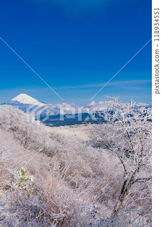 [靜岡縣] 從箱根積雪的源山眺望富士山 118934551