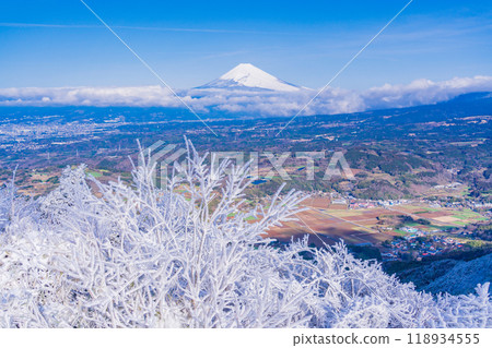 [靜岡縣] 從箱根積雪的源山眺望富士山 118934555