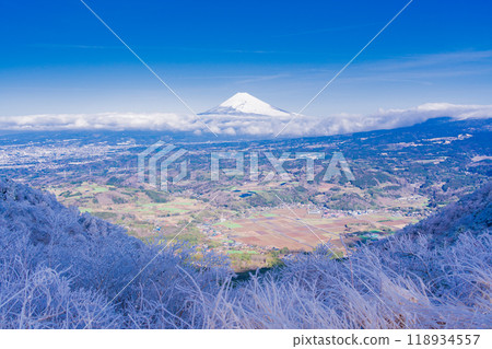 [Shizuoka Prefecture] Mt. Fuji seen from snow-covered Mt. Gendake in Hakone 118934557