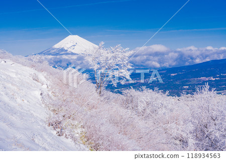 [靜岡縣] 從箱根積雪的源山眺望富士山 118934563