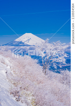 [Shizuoka Prefecture] Mt. Fuji seen from snow-covered Mt. Gendake in Hakone 118934564