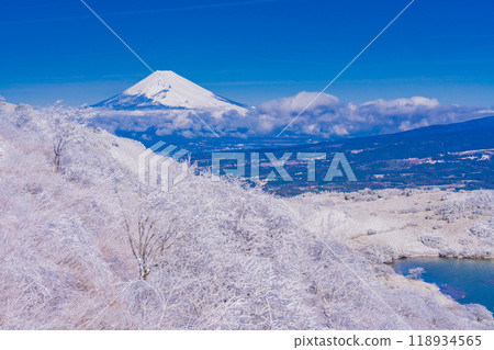 [靜岡縣] 從箱根積雪的源山眺望富士山 118934565