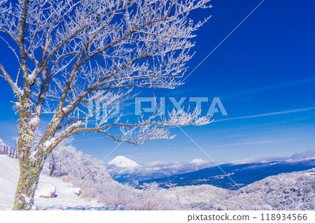 [靜岡縣] 從箱根積雪的源山眺望富士山 118934566