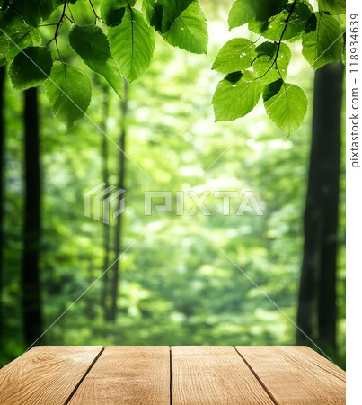 A serene forest background with lush green leaves and a wooden table, perfect for nature-themed design projects. 118934639