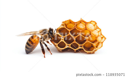 Bee with honeycomb, white isolated background 118935071