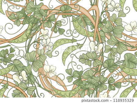 Green peas. Branch with leaves and pods with peas. 118935329