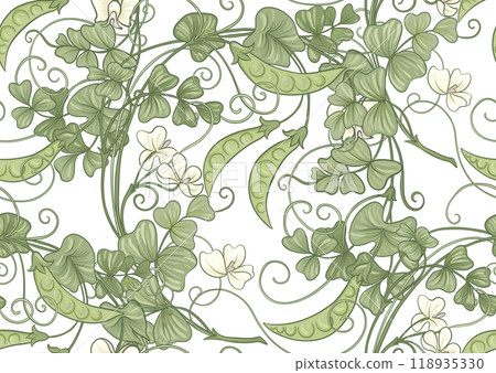 Green peas. Branch with leaves and pods with peas. Green peas. Branch with leaves and pods with peas. 118935330