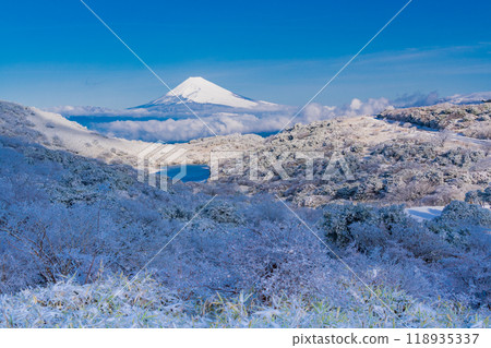 [靜岡縣]積雪覆蓋的源岳和比池池外的富士山 118935337