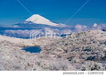 [Shizuoka Prefecture] Mt. Fuji beyond the snow-covered Mt. Gendake and Lake Korigaike 118935338
