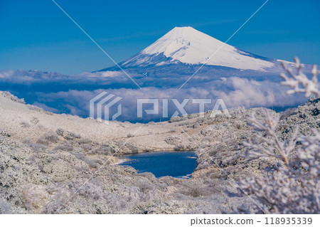 [Shizuoka Prefecture] Mt. Fuji beyond the snow-covered Mt. Gendake and Lake Korigaike 118935339