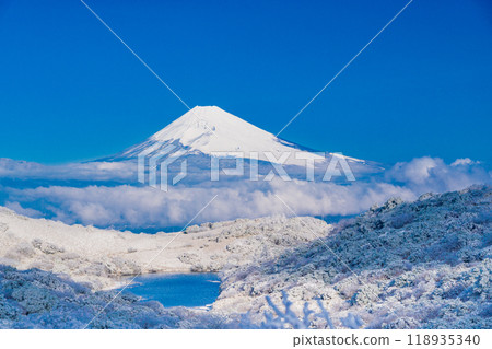 [Shizuoka Prefecture] Mt. Fuji beyond the snow-covered Mt. Gendake and Lake Korigaike 118935340