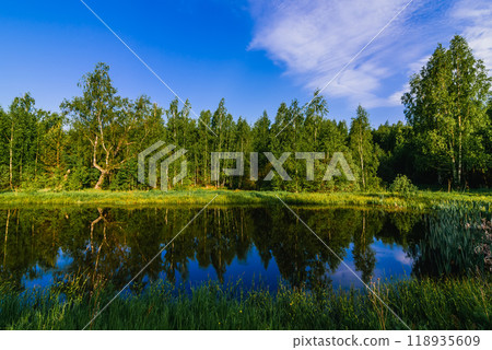 natural summer landscape with river in forest and green meadow 118935609