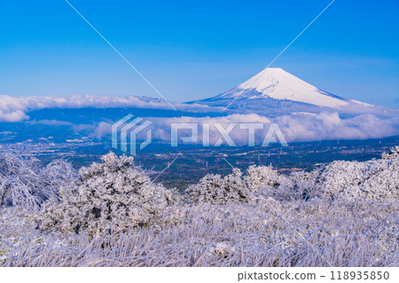 [Shizuoka Prefecture] Mount Fuji as seen from the snow-covered Izu Skyline 118935850