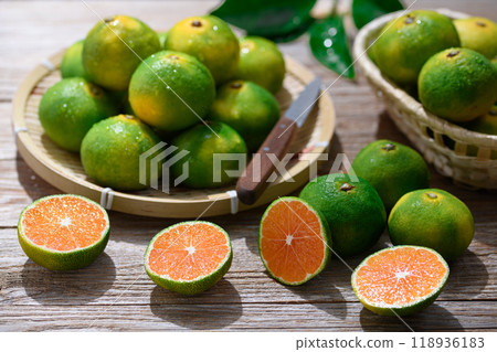 早熟柑橘 溫州柑橘 118936183