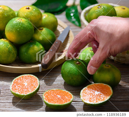 早熟柑橘 溫州柑橘 早熟柑橘 溫州柑橘 118936189