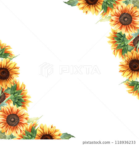 Watercolor square, frame, template with yellow sunflowers, vibrant plants. Hand drawn botanical watercolor illustration isolated on white background. For greeting card invitation clip art sticker 118936233