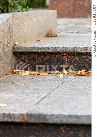 A detailed close up image of a set of stairs covered with leaves on the steps A detailed close up image of a set of stairs covered with leaves on the steps 118936504