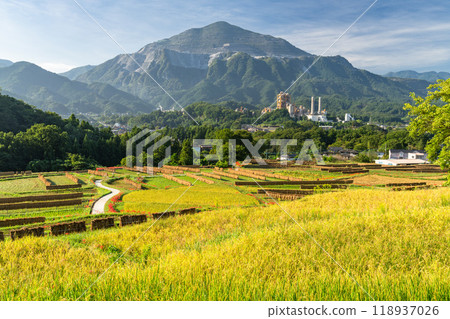 <Saitama Prefecture> Terasaka rice terraces with blooming red spider lilies and Chichibu in autumn 118937026