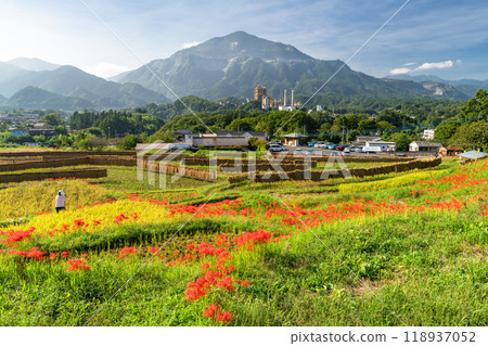 <Saitama Prefecture> Terasaka rice terraces with blooming red spider lilies and Chichibu in autumn <Saitama Prefecture> Terasaka rice terraces with blooming red spider lilies and Chichibu in autumn 118937052