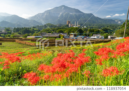<Saitama Prefecture> Terasaka rice terraces with blooming red spider lilies and Chichibu in autumn <Saitama Prefecture> Terasaka rice terraces with blooming red spider lilies and Chichibu in autumn 118937054
