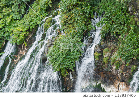 [Shirahige Falls, Biei Town] 118937400